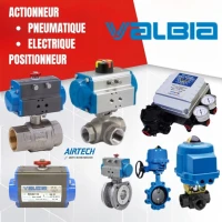 actionneur pneumatique - vanne motorisé - actionneur electrique  - vanne papillon - festo camozzi 