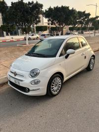 سيارات-fiat-500-2024-cult-mib-بئر-الجير-وهران-الجزائر
