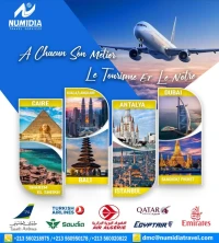 VOYAGE ORGANISE - ISTANBUL - EGYPTE - MALAISIE - BALI - ZANZIBER- BAKOU- DUBAI - ANTALYA