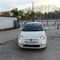 voitures-fiat-500-2024-bourouba-alger-algerie