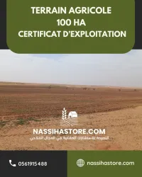 Vente Terrain Agricole Djelfa Guernini
