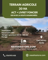 Vente Terrain Agricole Djelfa Had sahary