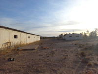 farmland-sell-djelfa-algeria