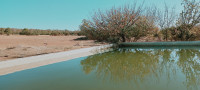 terrain-agricole-vente-djelfa-algerie