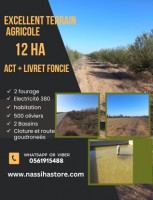 terrain-agricole-vente-djelfa-ain-oussara-algerie