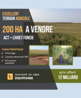 terrain-agricole-vente-djelfa-algerie