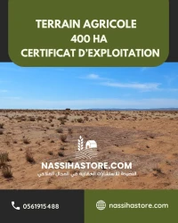 Vente Terrain Agricole Djelfa Djelfa