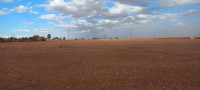 terrain-agricole-vente-djelfa-algerie