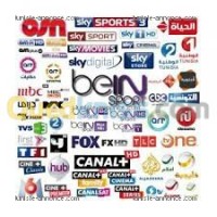 الجزائر-الأبيار-صحون-لاقطة-و-أجهزة-استقبال-technicien-parabole