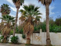 فيلا-كراء-الجزائر-دالي-ابراهيم
