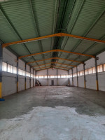hangar-location-oran-es-senia-algerie