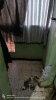 appartement-vente-f2-bordj-bou-arreridj-algerie