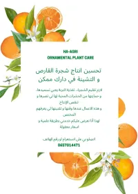HA AGRI زبير الاشجار 