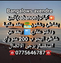 bungalow-vente-ain-temouchent-beni-saf-algerie