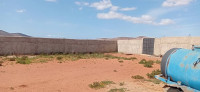 hangar-location-ain-temouchent-terga-algerie