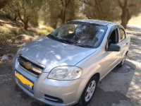 citadine-chevrolet-aveo-5-portes-2009-djendel-ain-defla-algerie