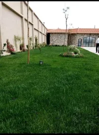 تهيئة المساحات الخضراء و البستنة