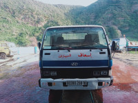 camion-hyoundai-hd-65-2008-sidi-abdelaziz-jijel-algerie