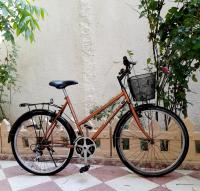 معدات-رياضية-دراجة-هوائية-هولندية-سيدي-موسى-الجزائر