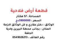 أرض-بيع-الجلفة-البيرين-الجزائر
