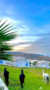 Location vacances Appartement Aïn Témouchent Bou zedjar