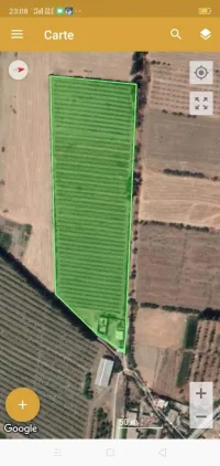 Vente Terrain Agricole Ain defla Ain defla