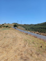 terrain-vente-tizi-ouzou-rached-algerie