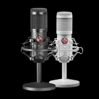 MICROPHONE DE STUDIO PROFESSIONNEL MMICX