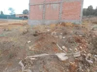 Vente Terrain Tlemcen Tlemcen