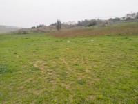 أرض-بيع-المدية-الجزائر