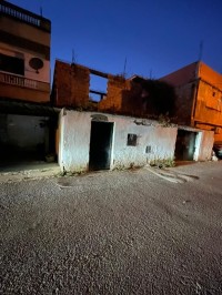 أرض-بيع-الجزائر-الكاليتوس