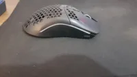 souris 