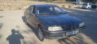 berline-peugeot-405-1991-reghaia-alger-algerie