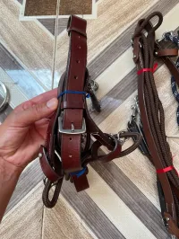 Équitation cheval