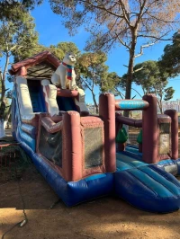 Toboggan gonflable 