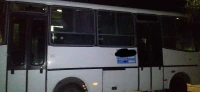 Toyota DELTA BLS 2010