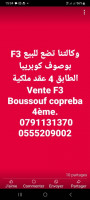 appartement-vente-f3-constantine-algerie