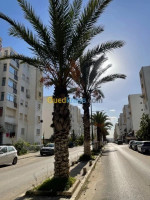 appartement-vente-f3-alger-baba-hassen-algerie