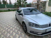 Volkswagen Passat 2013 Blue motion