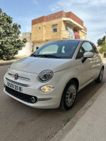 voitures-fiat-500-2023-club-kolea-tipaza-algerie