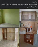 appartement-vente-f4-setif-ain-oulmene-algerie