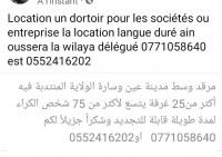 autre-location-bien-immobilier-djelfa-ain-oussara-algerie