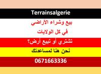 أرض-بيع-الجزائر-الرويبة