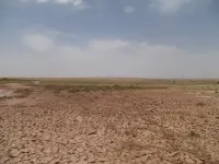 Vente Terrain Agricole Djelfa Djelfa