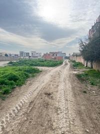 Vente Terrain Alger Ouled chebel thumbnail 3