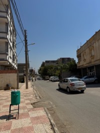 أرض-بيع-الجزائر-أولاد-الشبل