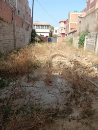Vente Terrain Tipaza Hadjout