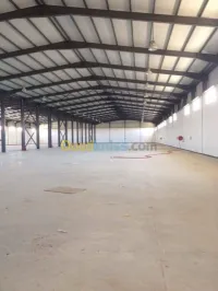 Location Hangar Oran Hassi ben okba