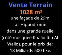 أرض-بيع-وهران-الجزائر