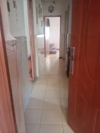 Vente Appartement F3 Alger Les eucalyptus